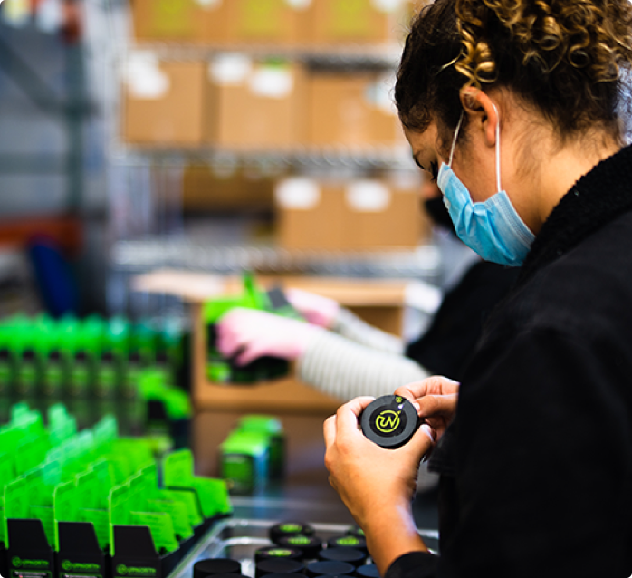 Metric Image | An individal inspecting a cannabis plant